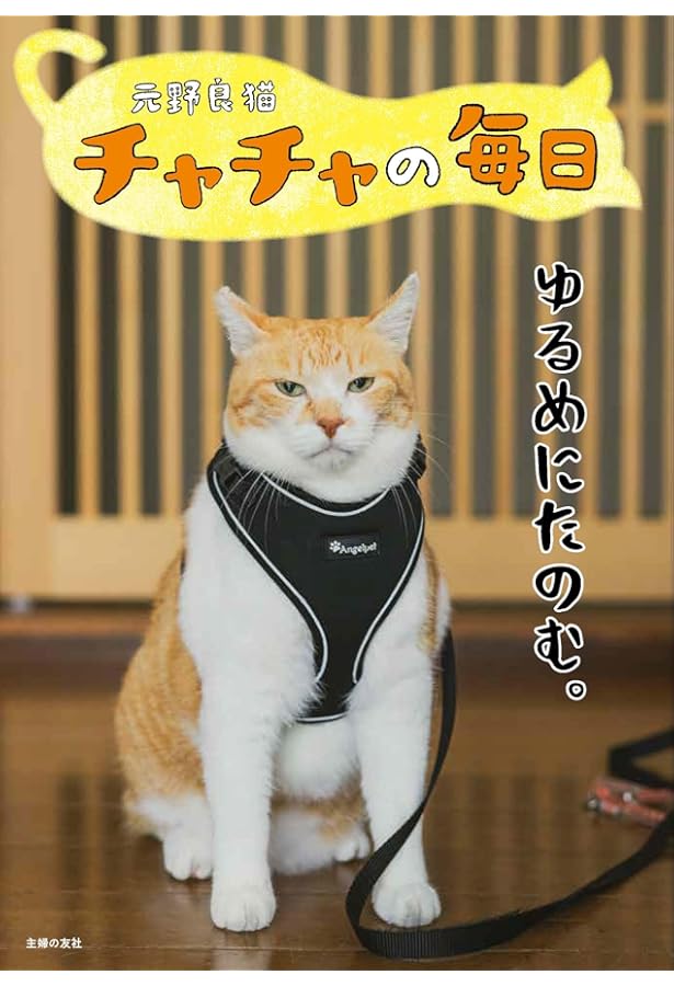 月刊わんこ vol.7 特別号「にゃ！？にゃんだって！？にゃんこ特集