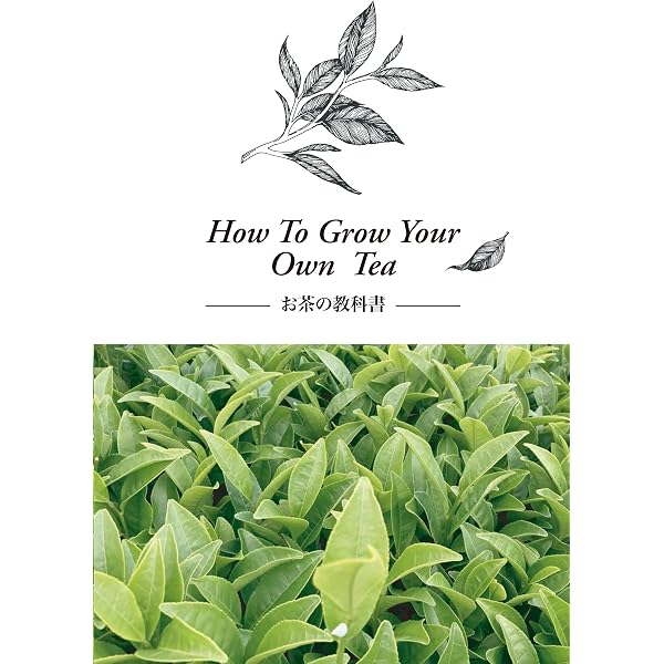 茶大百科 (1) | 農山漁村文化協会 |本 | 通販 | Amazon