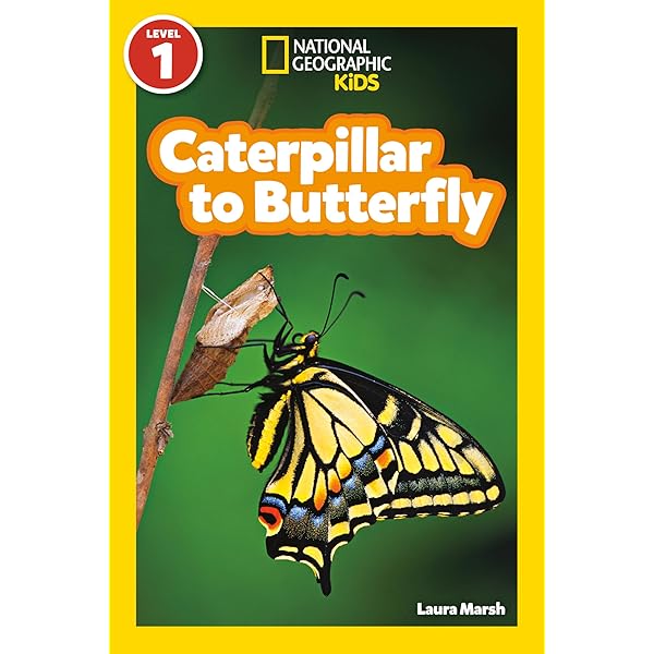 The Book of Caterpillars: A life-size guide to six hundred species