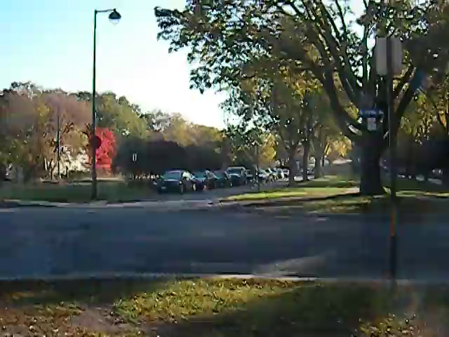 sunlite bicycle dog leash