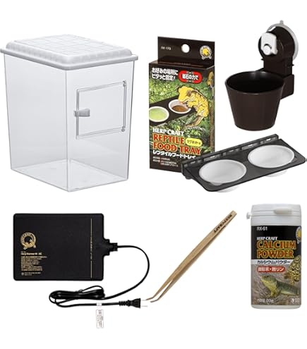 YU茶ページ ！レプタイルボックス 6個セット YU茶ページ ！レプタイル