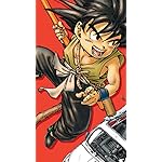 ドラゴンボール QHD(540×960)壁紙 孫悟空,ブルマ ドラゴンボール QHD(540×960)壁紙 孫悟空,ブルマ