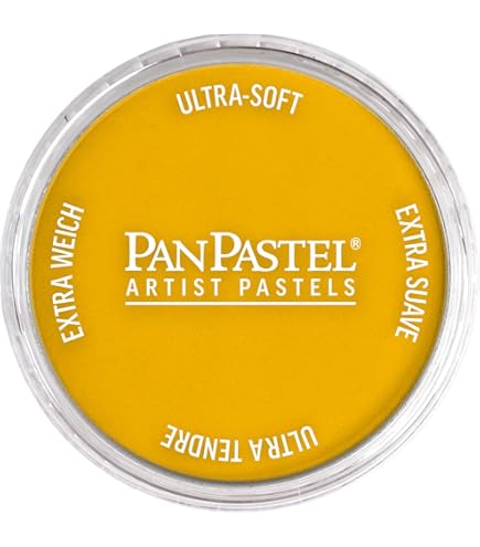 新品 パンパステル 20色セット ペインティング 30201[ホルベイン] パンパステル 30201 ペインティング 20色セット