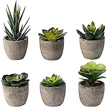 6 Pots Small Artificial Succulent Plants Mini Fake Faux Suculentas Pot For Shelf Kitchen Counter Office Decor Tiny Miniature Desk Plant Succulents Decoration Accessories Potted Plastic Cactus Aloe Amazon Sg Home