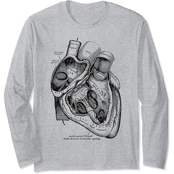 心臓解剖図 Tシャツ ホワイト 61ODmguOmqL.jpg