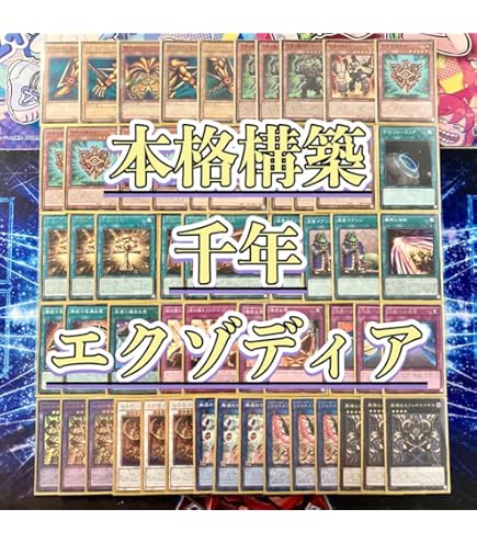 Amazon.co.jp: エクゾディア デッキ 図書館エクゾ 40枚セット 王立魔法