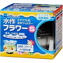 専用他の方発送×肉質画　サインあり　花 楽天市場】【無料☆特典対象】 郵便ポスト 郵便受け