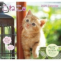 【新品】名前はまだない。 猫 2025 卓上カレンダー直筆サイン入チェキ 新品】名前はまだない。 猫 2025 卓上カレンダー直筆サイン入