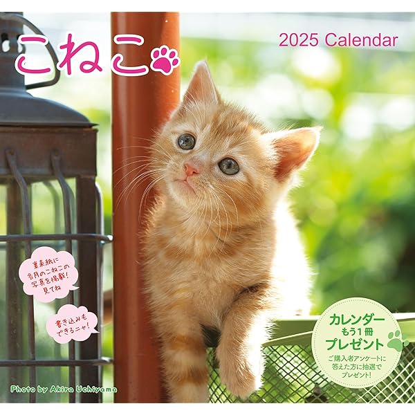 カレンダー2025 ほのぼの子ねこ（月めくり/壁掛け） (ヤマケイ