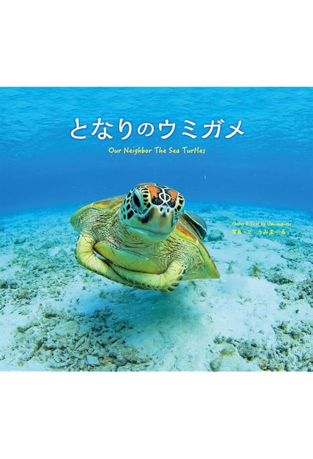 月刊たくさんのふしぎ 1999年09月号 ウミガメは広い海をゆく | 吉野