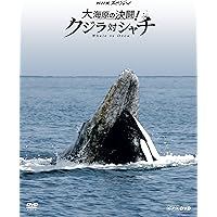 深海の超巨大イカ・謎の海底サメ王国・クジラ対シャチ DVDセット Amazon | 立体カプセル百科事典 NHKスペシャル 謎の海底サメ王国