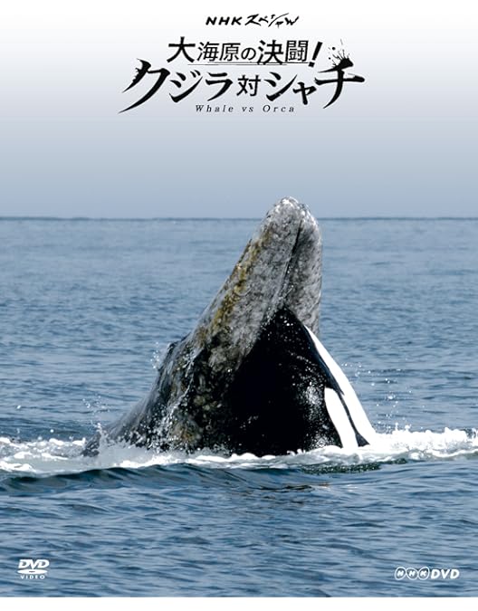 Amazon.co.jp: NHKスペシャル 世界初撮影! 深海の超巨大イカ [DVD] : DVD