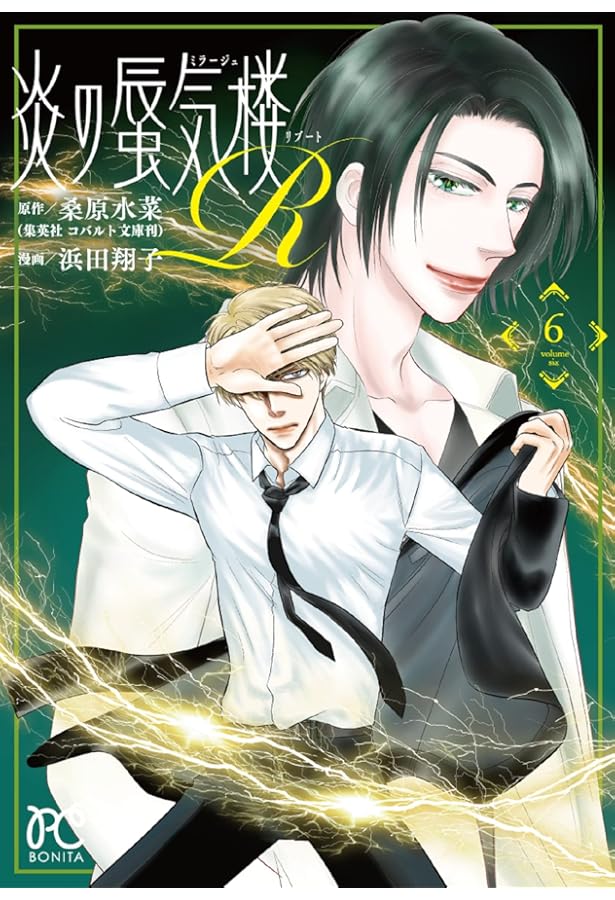 炎の蜃気楼シリーズなど計48冊　桑原水菜　　　値引き交渉大歓迎 A1hKyWTaxbL.jpg