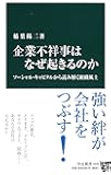 企業不祥事はなぜ起きるのか - ソーシャル・キャピタルから読み解く組織風土 (中公新書)