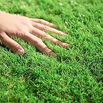 【伊勢海老】人工芝 ロール2m×10m芝丈35mmピン42本つき【青緑】 NITTO SEKKO 人工芝 ロール ピン 付 2m×10m 芝丈 35mm パイル 20