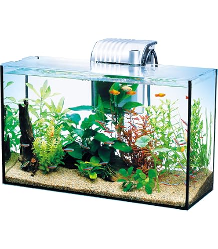 Amazon | Tetra テトラ オールグラスアクアリウム420 熱帯魚セット 
