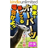 南米でオーパーツ探してる場合かよ!!