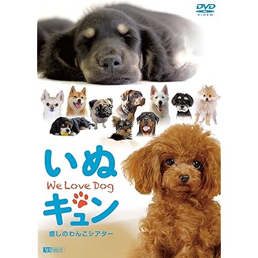 Amazon.co.jp 売れ筋ランキング: undefined の中で最も人気の