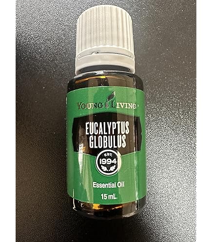 Amazon.co.jp: ローズマリー 15ml : ドラッグストア