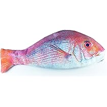 91-DihScwIL._AC_UL210_SR210,