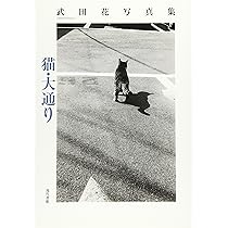 猫・大通り: 武田花写真集 | 武田 花 |本 | 通販 | Amazon