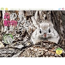 カレンダー2026 星野道夫ベストセレクション 極北の動物たち（月