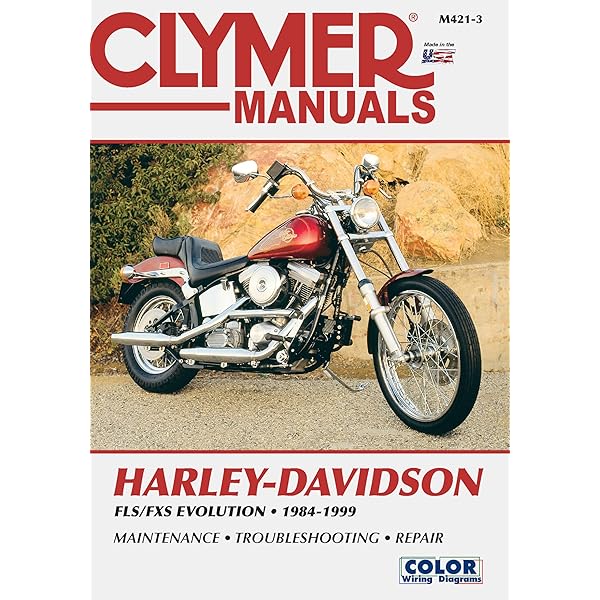 Amazon | 101 Harley-Davidson Performance Projects: For Evolution