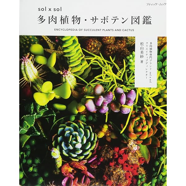 solxsolの多肉植物・サボテンの箱庭 (ブティック・ムックno.1219
