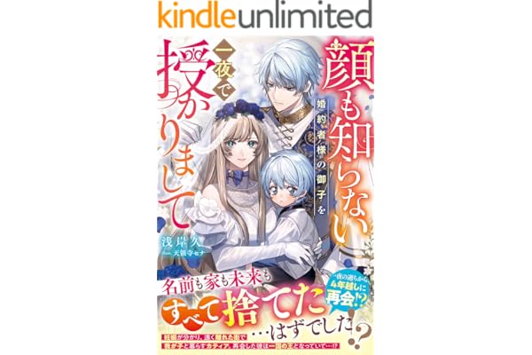 顔も知らない婚約者様の御子を一夜で授かりまして【電子限定SS付き】 (ベリーズファンタジー)