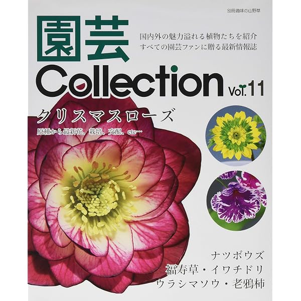 園芸Collection Voi,20 (別冊趣味の山野草) | （株）栃の葉書房編集部