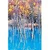 パワースポット Iphone 640 960 壁紙 青い池 その他 スマホ用画像 パワースポット Iphone 640 960 壁紙 青い池 その他 スマホ用画像