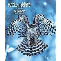 野生の鼓動 PartⅢ 日本の鷹 | 真木 広造 |本 | 通販 | Amazon