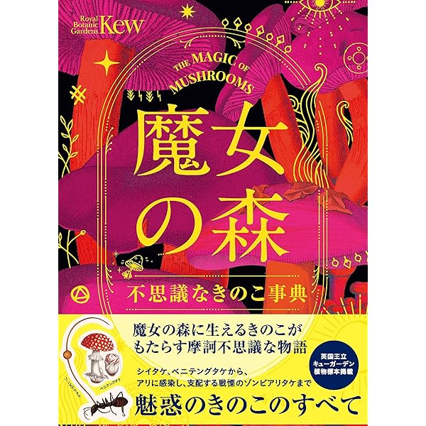 Amazon.co.jp: 魔女の樹 不思議の森の樹木事典 : サンドラ