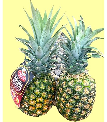 Amazon.co.jp: フィリピン産 パイナップル 10kg （6〜9玉入り） セット