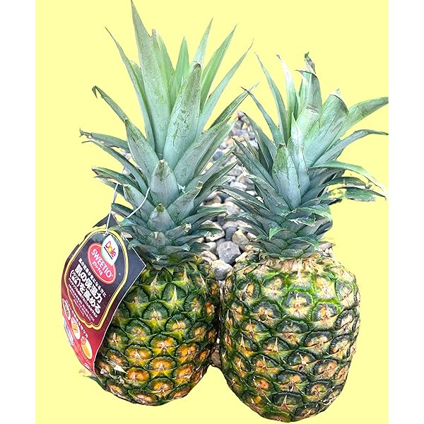 Amazon.co.jp: 【MSKSHOP】パイナップル 果物 フルーツ
