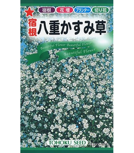 Amazon | 株式会社トーホク ローズかすみ草 00646 | 野菜