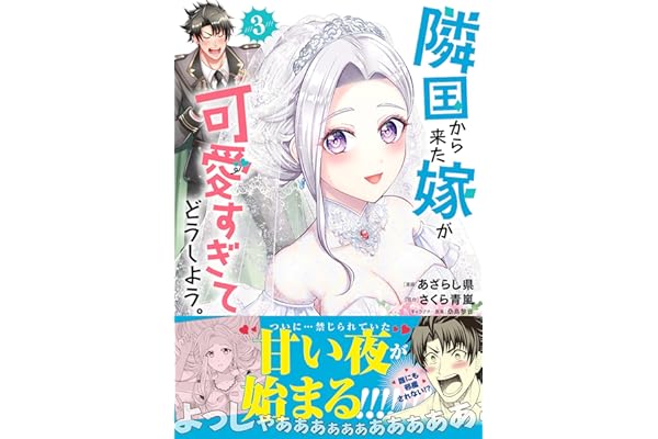 隣国から来た嫁が可愛すぎてどうしよう。（コミック）【電子版特典付】３ (PASH! コミックス)