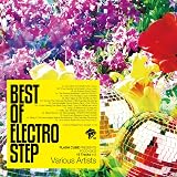 BEST OF ELECTRO STEP