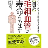 【図解】毛細血管が寿命をのばす