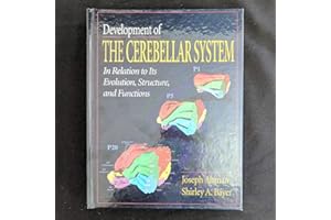 Development of the Cerebellar System: In Relation to Its Evolution, Structure, and Functions