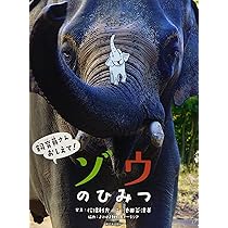 9112flzpx1L._AC_UL210_SR210,