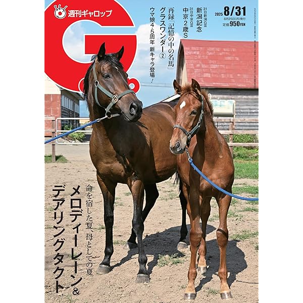 週刊ギャロップ　2004年　全巻 週刊ギャロップ 2004年 全巻 週刊ギャロップ 2004年 全巻 2025年