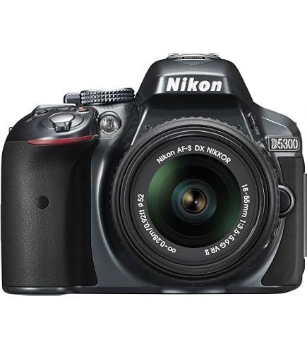 Amazon | 【整備済み品】 Nikon デジタル一眼レフカメラ D5300 AF-P 18