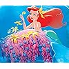 アリエル(Ariel) ディズニー - アリエル(Ariel) Android(960×800)待ち受け 305876