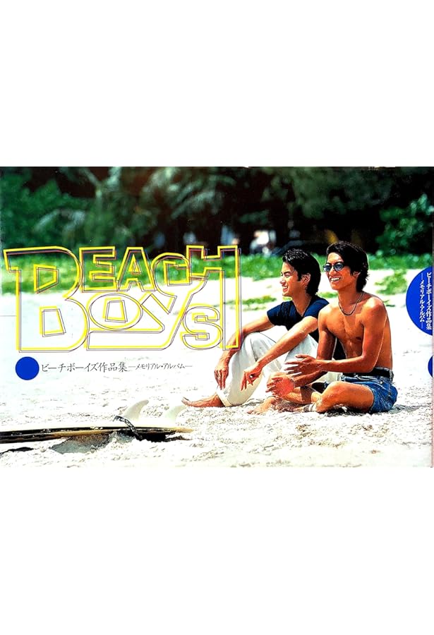 Amazon.co.jp: ビーチボーイズスペシャル : 岡田 惠和, 丹後 達臣: 本