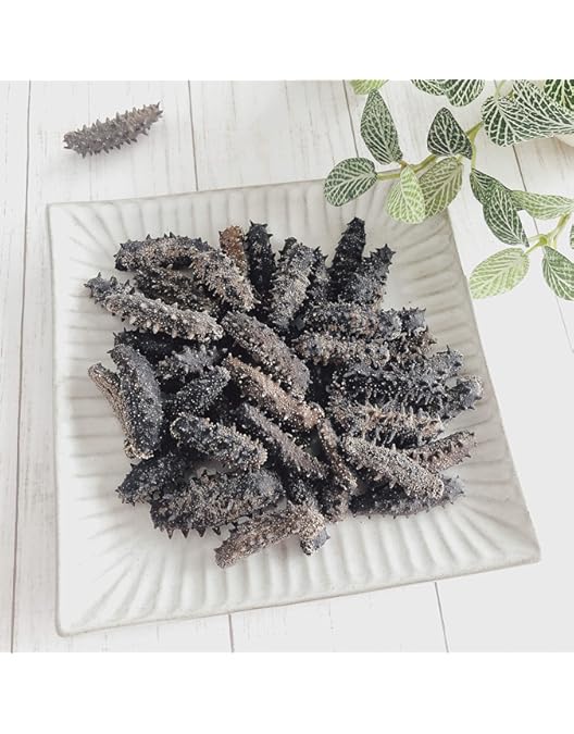 Amazon.co.jp: 【北海道産】 乾燥なまこ 天然 厳選A級品 100g サイズ