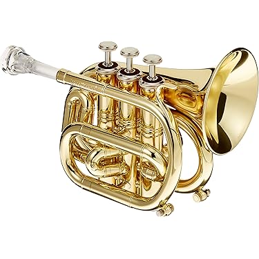 Amazon.co.jp 売れ筋ランキング: ポケットトランペット の中で最も人気