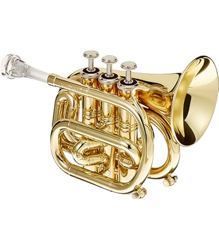 Amazon | キャロル・ブラス Carol Brass デスクメガフォン レッド