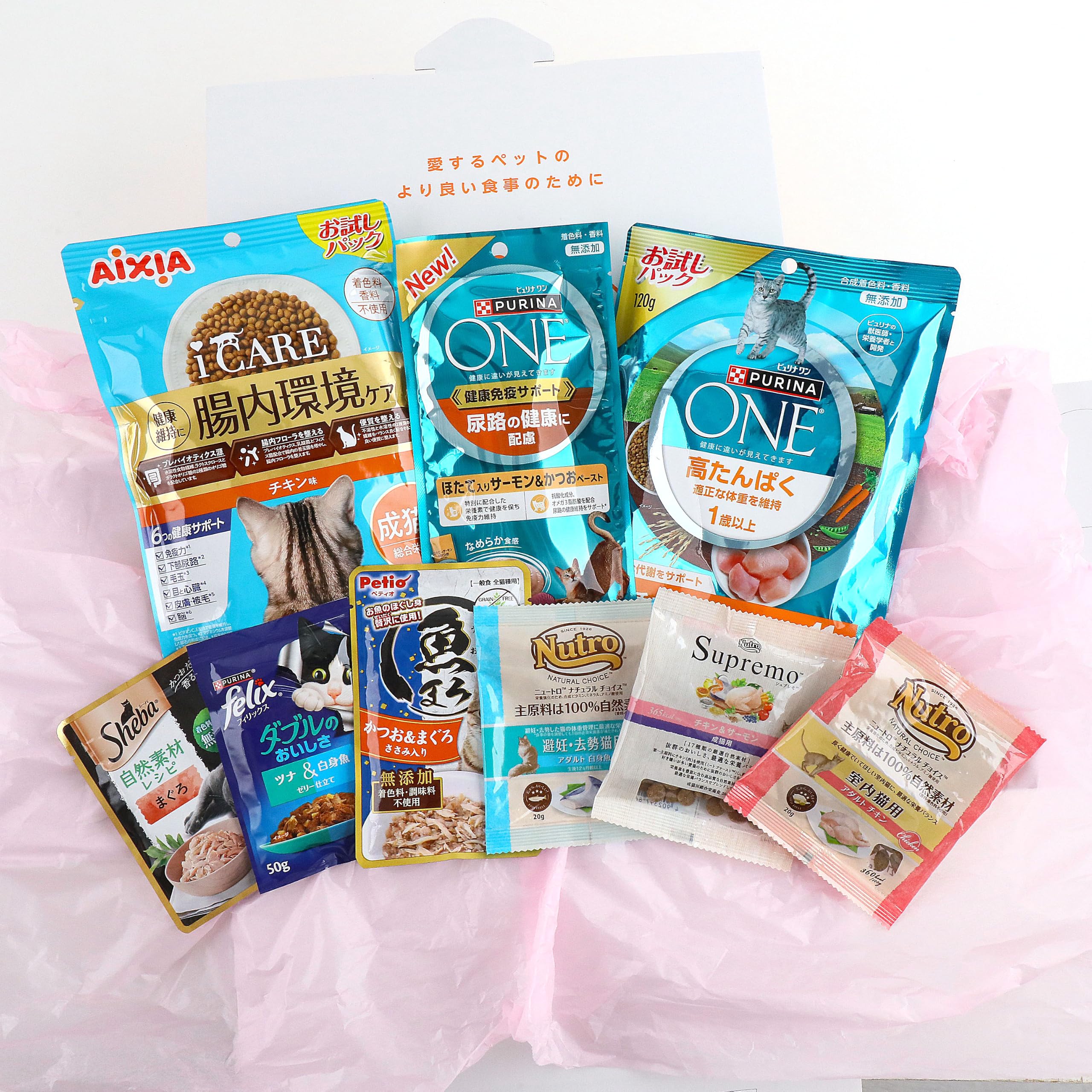 ペットプロフィール Family Box 成猫B