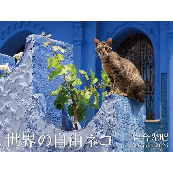 Amazon.co.jp: 岩合光昭の世界ネコ歩き ヨーロッパの空の下 : 岩合